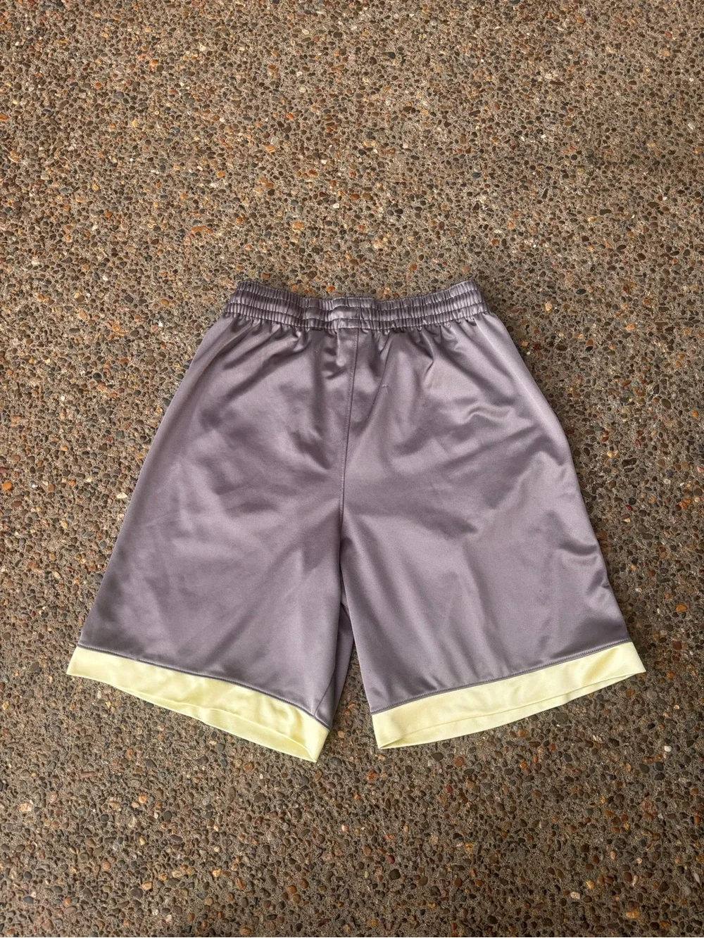 Jordan Men’s Purple Athletic Shorts with Gold Accents